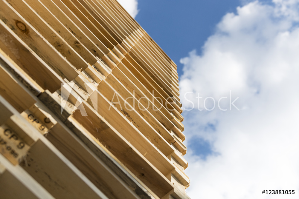 AdobeStock_123881055_Preview.jpeg