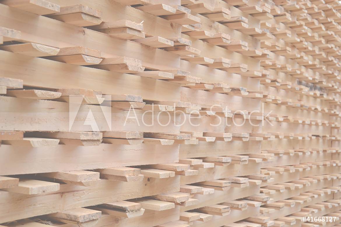 AdobeStock_41668127_Preview_2500.jpg